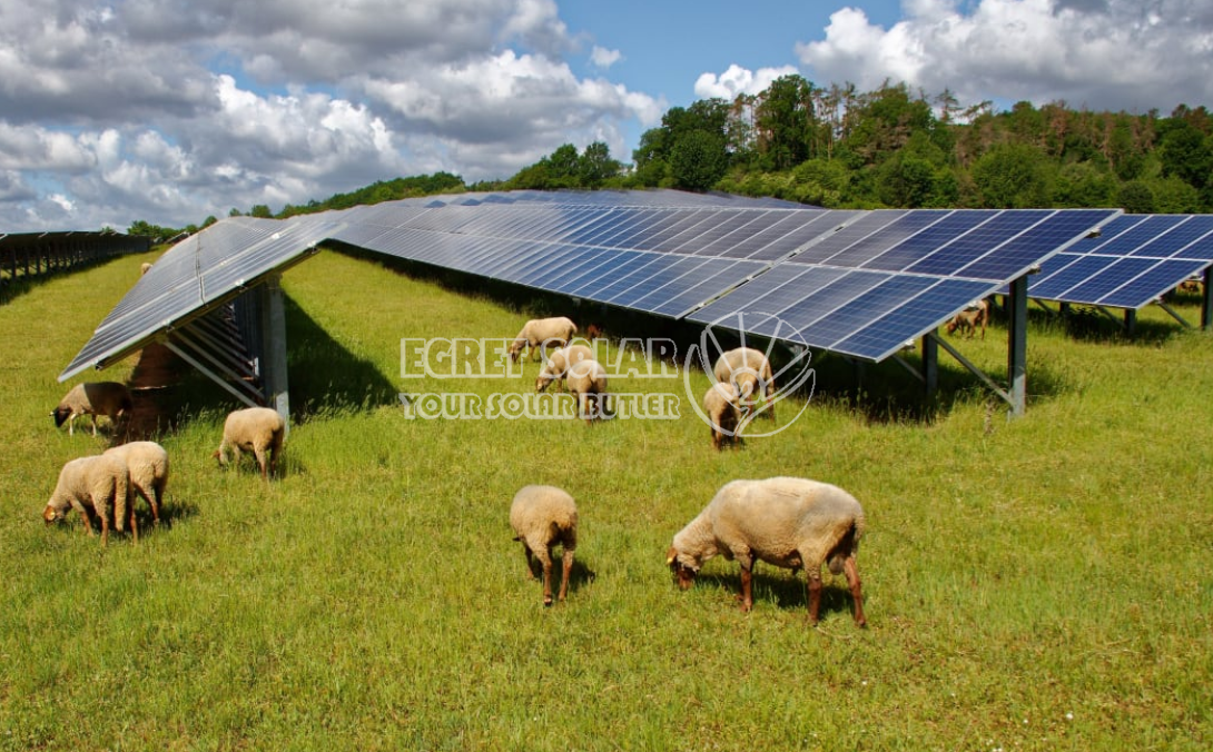 La coopération stratégique entre la nouvelle technologie énergétique d'Egret Solar et Smart Concept Energy