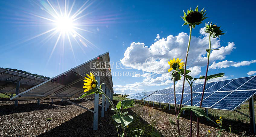 Classification complète des cellules solaires photovoltaïques